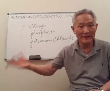 Food and Nutrition helping Erectile dysfunction