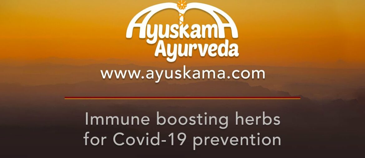 Immune boosting herbs for Covid-19 prevention