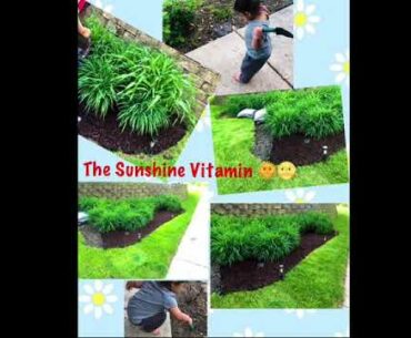 VITAMIN D3- The Sunshine Vitamin