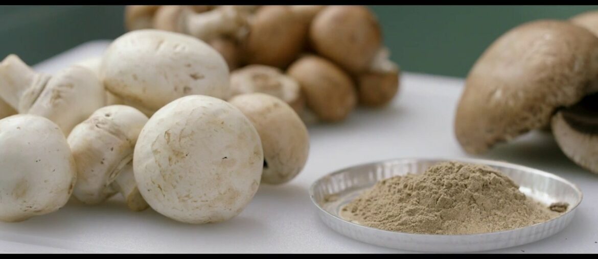 Amway uses mushrooms as a plant-based source of vitamin D in its Nutrilite supplements