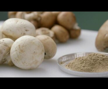 Amway uses mushrooms as a plant-based source of vitamin D in its Nutrilite supplements