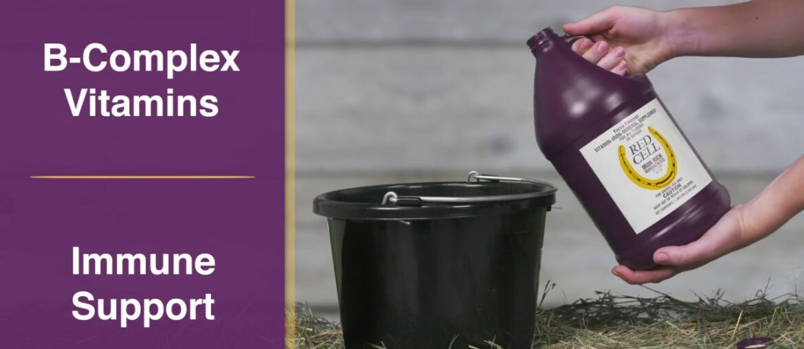 Red Cell Horse Vitamin Mineral Supplement