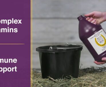 Red Cell Horse Vitamin Mineral Supplement