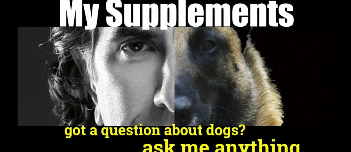 Is There a Good Vitamin Supplement for Dogs - ask me anything - Dog Health