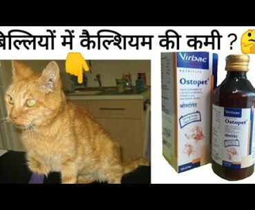 Pet Care , Importance for calcium and vitamin for cats,Ostopet liquid supplement Review in hindi