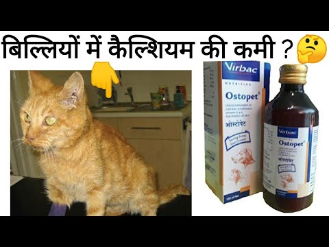 Pet Care , Importance for calcium and vitamin for cats,Ostopet liquid supplement Review in hindi