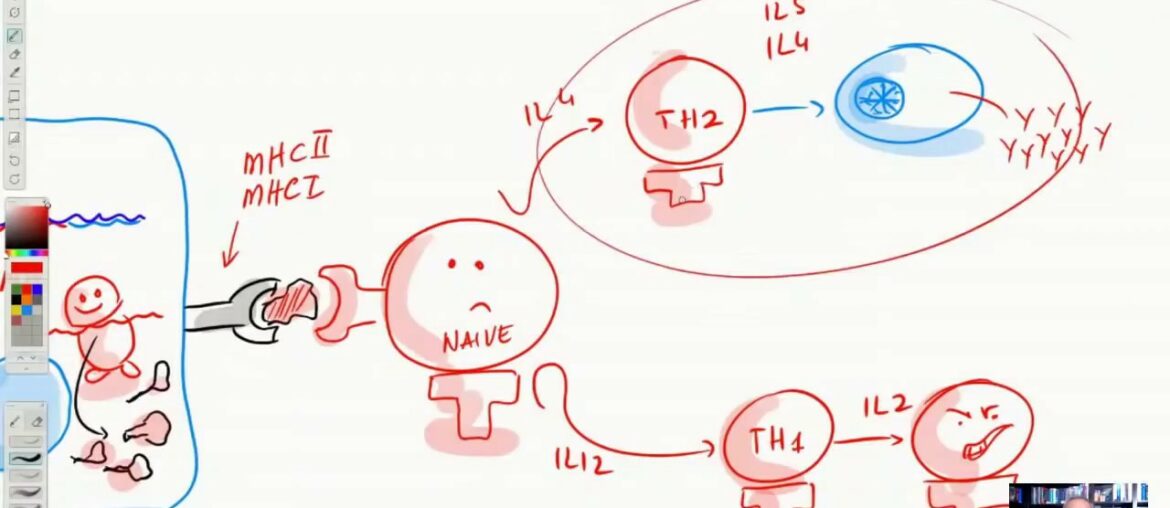 Vaccines Update: Oxford and Imperial College Vaccines