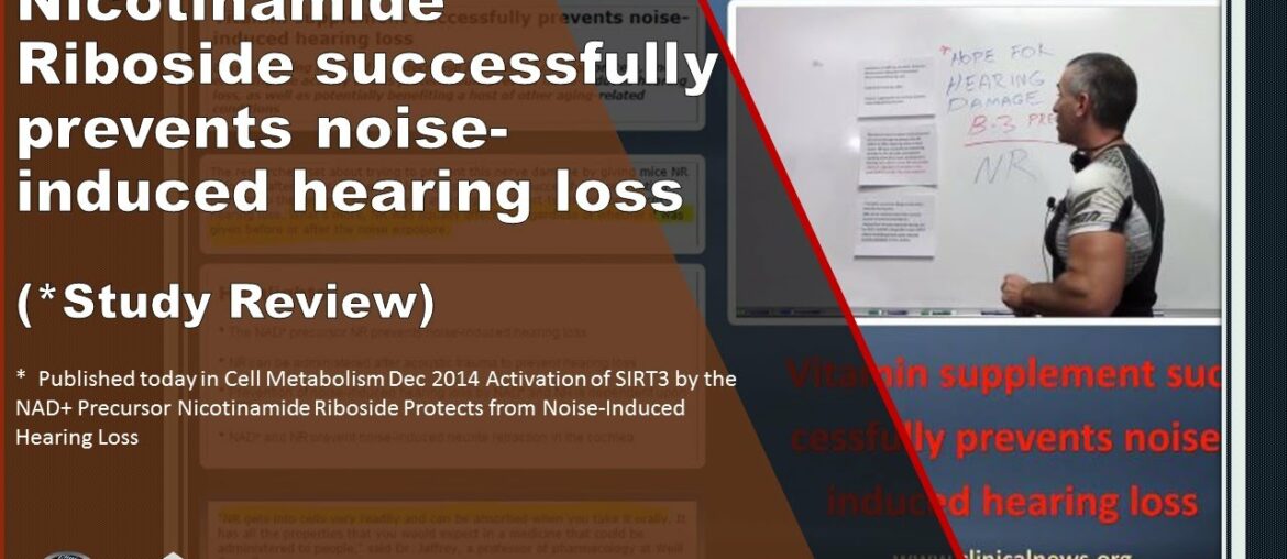 Vitamin supplement successfully prevents noise-induced hearing loss