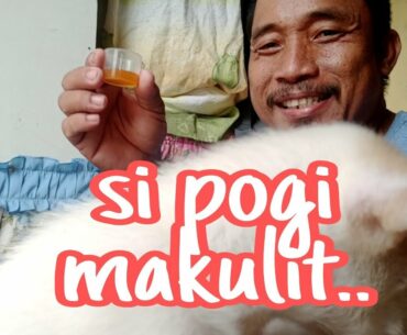 Pogi take vitamins Sunday morning...