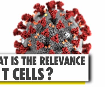 How Coronavirus impacts our immunity? COVID-19 brief