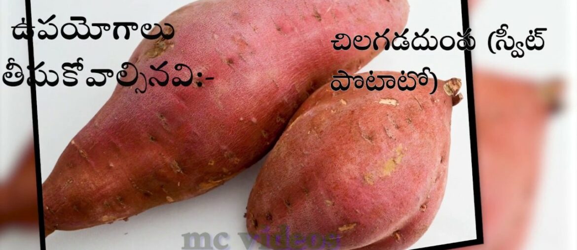 Vitamin A upayogalu | thisukovalsinavi |