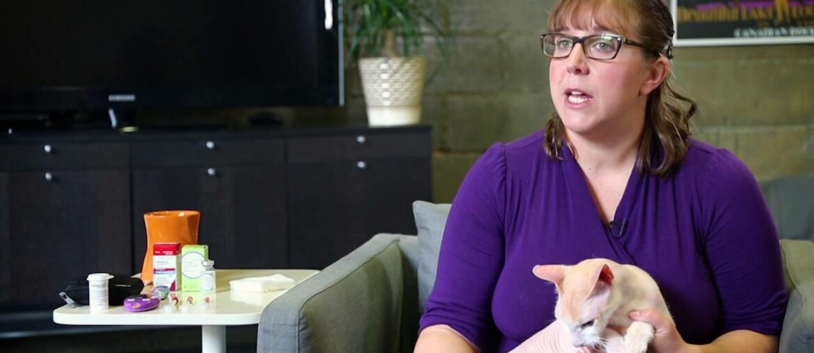 The Benefits Of Vitamin B12 Supplements In Diabetic Cats