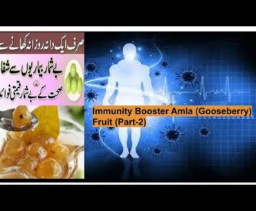 Immunity Booster Amla fruit  (part-2)