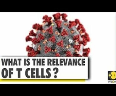 How Coronavirus impacts our immunity? COVID-19 brief | what is the relevance of T-cells |WORLD TIMES