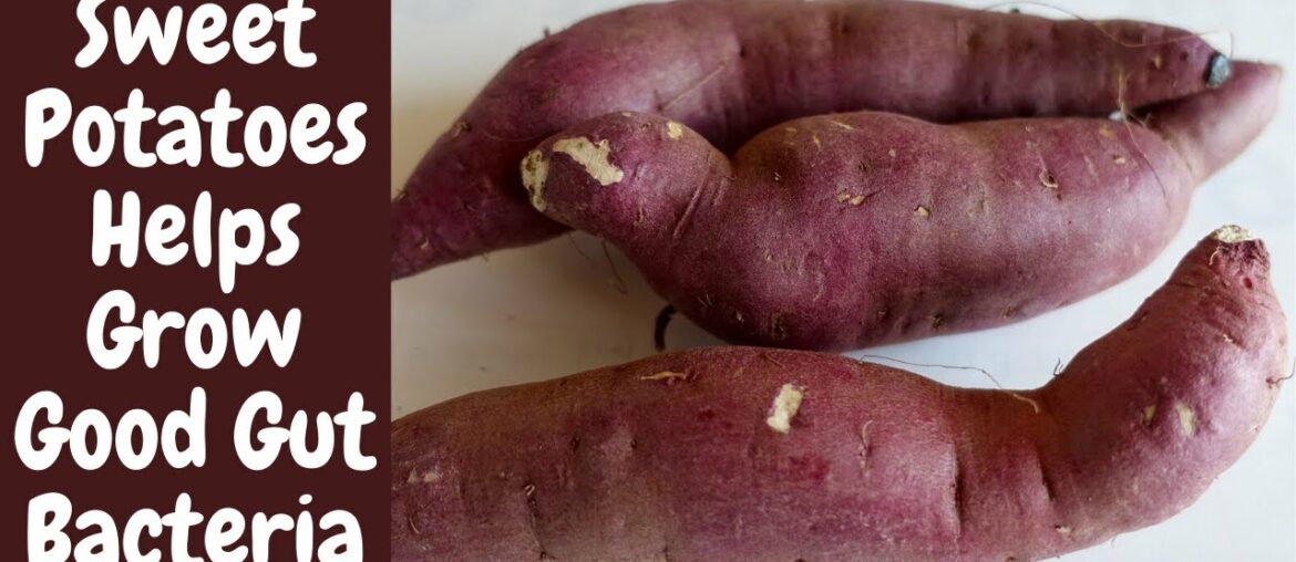 Sweet Potatoes Nutrition || Sweet Potatoes Nutrition || Sweet Potatoes Recipe.