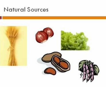 A-Z vitamins, minerals and supplements vitamin B complex