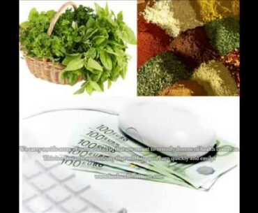 Best Vitamin Supplement Manufacturers - Looking For Best Vitamin Supplement Manufacturers?