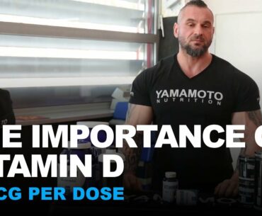 The role of vitamin d in the human body