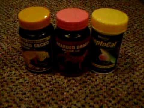 Calcium and Vitamin Supplements For Reptiles