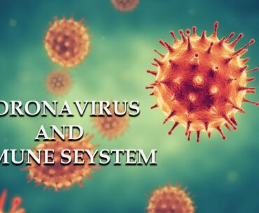 Coronavirus and Immune System |BSTV