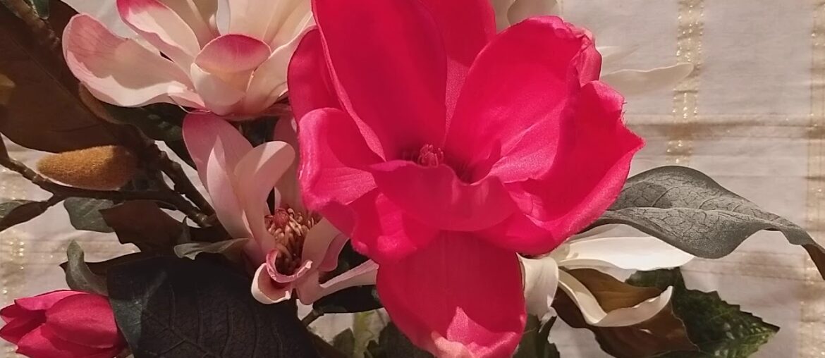 Affirmations: To release stress during Covid19/Boost your immune system/Self-love.