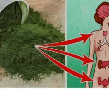 What Happens to Your Body When you Take Spirulina Health Benefits-Have Vitamin D,C,A,E,B6,B9,B3,B1B2