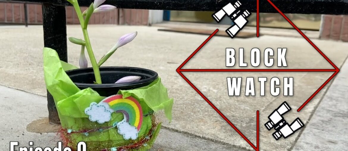 Block Watch (Episode 9)