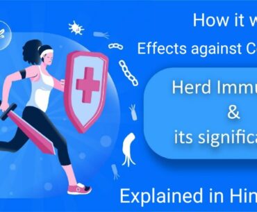 What Is Herd Immunity? How Much Effect In Corona Virus? Explained In Hindi