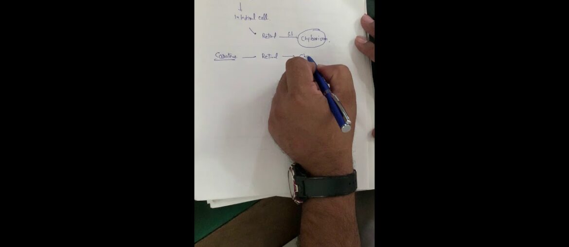 Fat Soluble Vitamin A