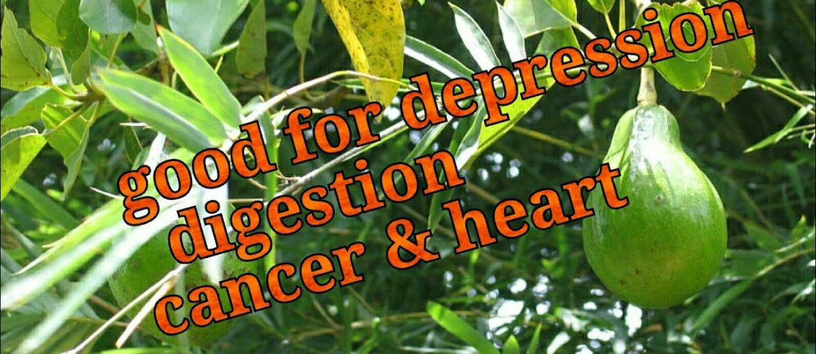 Avacado  good for cancer ,heart ect.avacado are contain 20 vitamin and minerals
