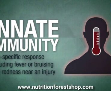 Boost Your Immune System with These Simple Steps