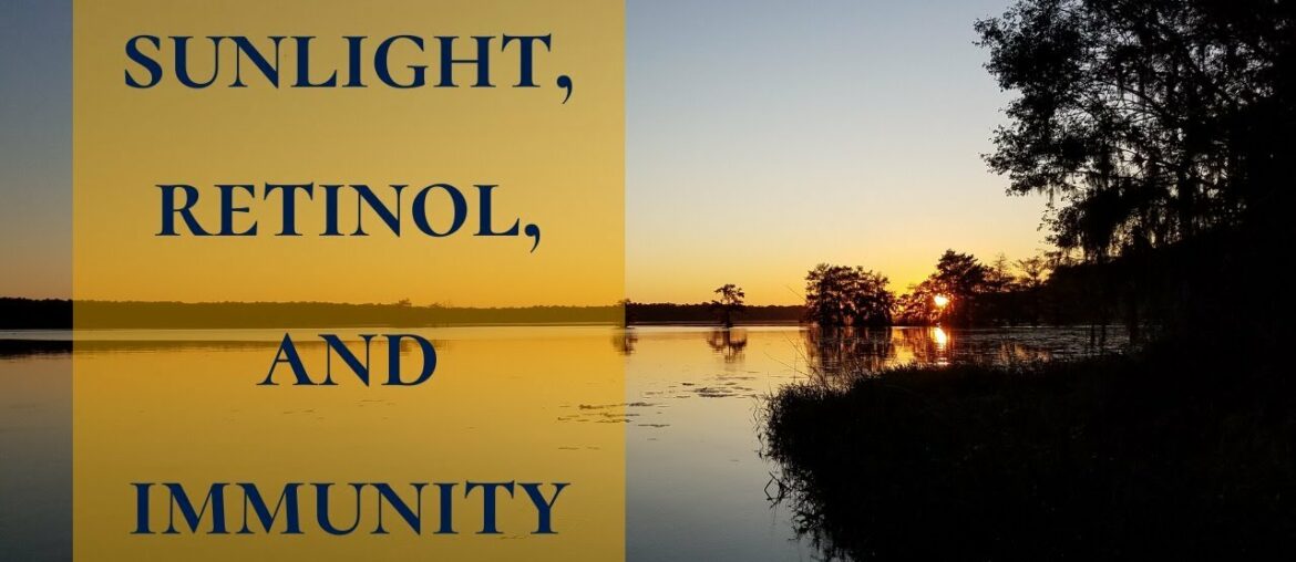 Sunlight, Retinol, and Immunity
