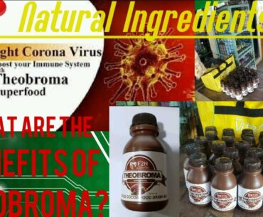 THEOBROMA SUPERFOOD | FOOD SUPPLEMENT REVIEW