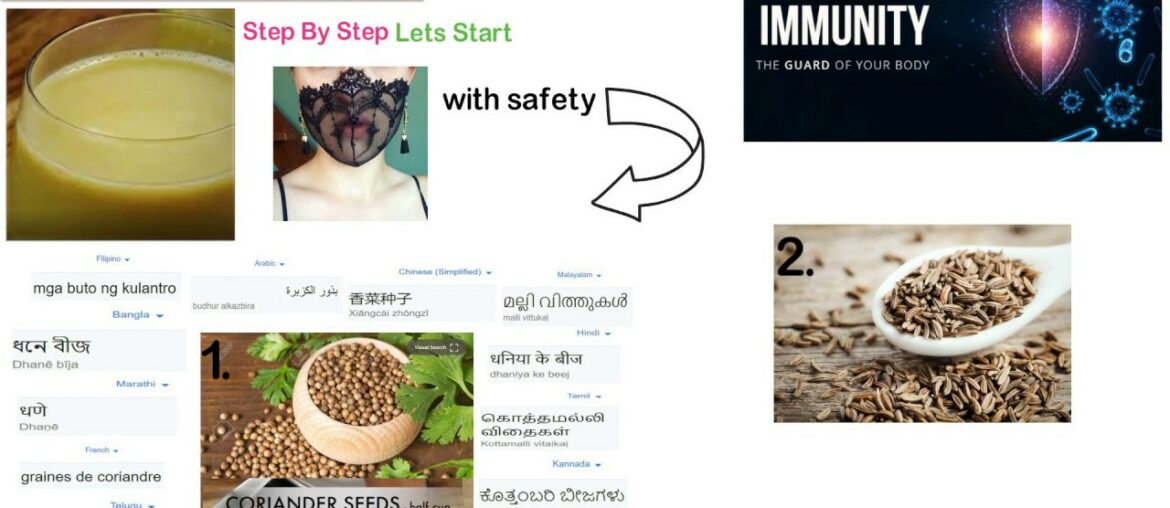 Improve & Boost your Immunity (12-Languages ) with Ayurveda and Keep Yourself Healthy