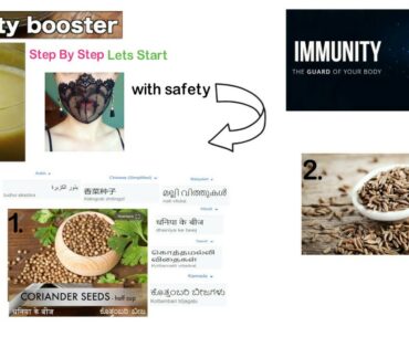 Improve & Boost your Immunity (12-Languages ) with Ayurveda and Keep Yourself Healthy