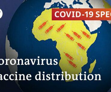 Coronavirus vaccine distribution: A question of wealth? | COVID-19 Special