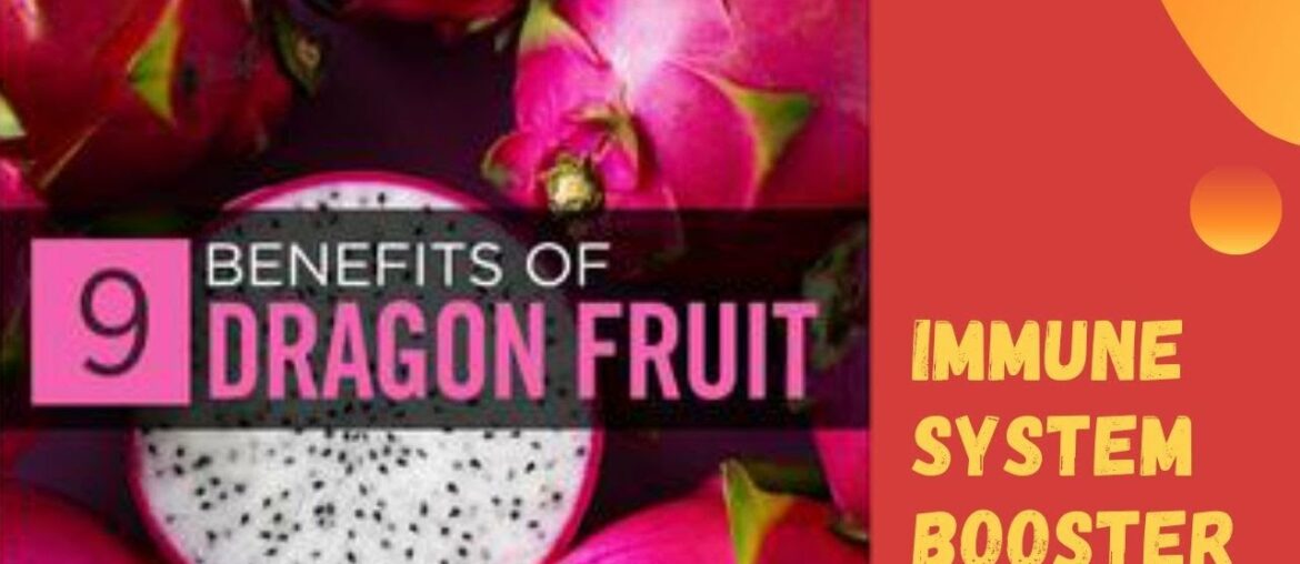 TEAM ANDRES VLOGS : Immune System Booster | 9 BENEFITS OF DRAGON FRUIT | hylocereus undatus