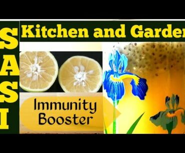 Immunity Boost Drink | Sweet lime juice for summer | Chia seeds Weight loss drink | How to use Chia