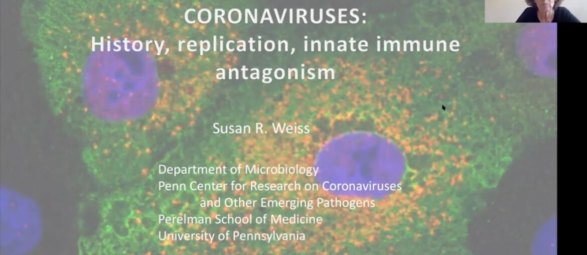 Decoding COVID, May 4: History, Replication, and Innate Immune Antagonism with Susan R. Weiss
