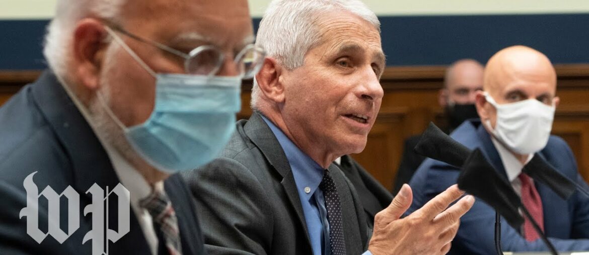 WATCH: Fauci testifies in front of Senate on coronavirus response