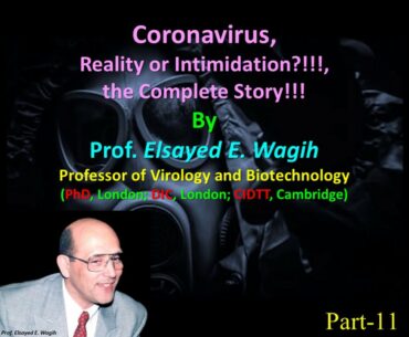 Coronavirus Part 11  Boosting Immune System with Nutrition to Fight nCoV 19 Minerals, Selenium + Zin
