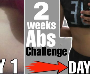 2 weeks abs challenge | chloe ting | without any equipment