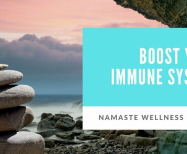 How to Support your Immune System Part 1