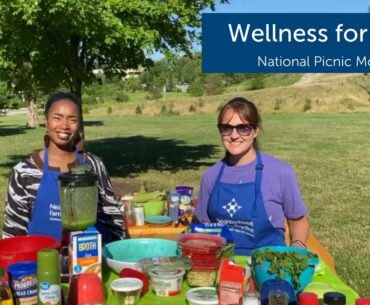 Wellness for You: National Picnic Month 2020