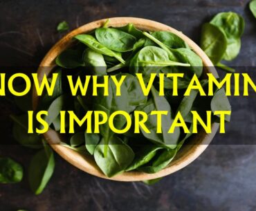 KNOW WHY VITAMIN K IS IMPORTANT