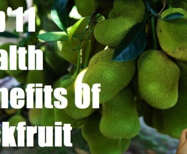 Jackfruit Health Benefits Of 11 | See What Happens To Your Body | Fruit Booster | Daily Fitness