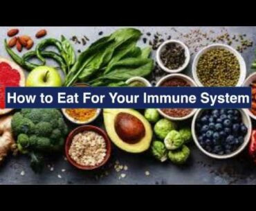 Foods to Support Your Immune System