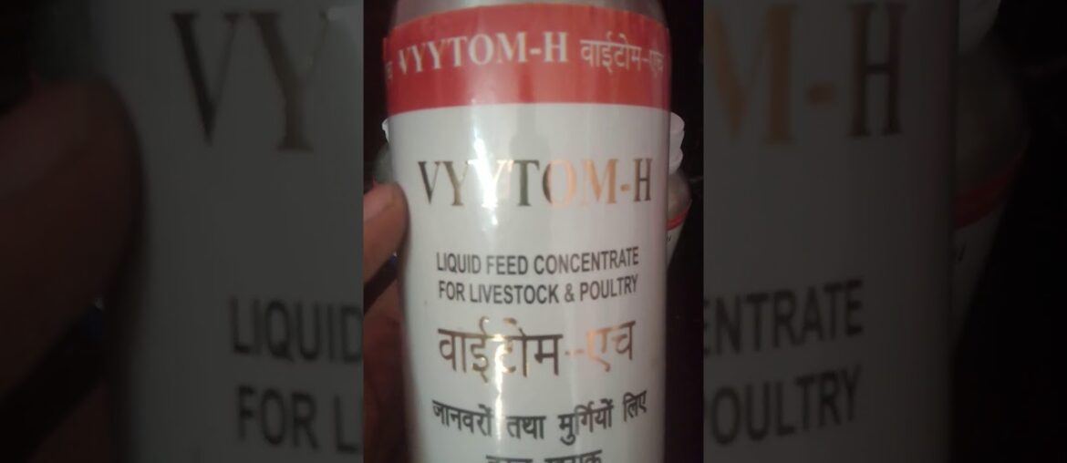 Veterinary Vitamin H (Vyytom H)