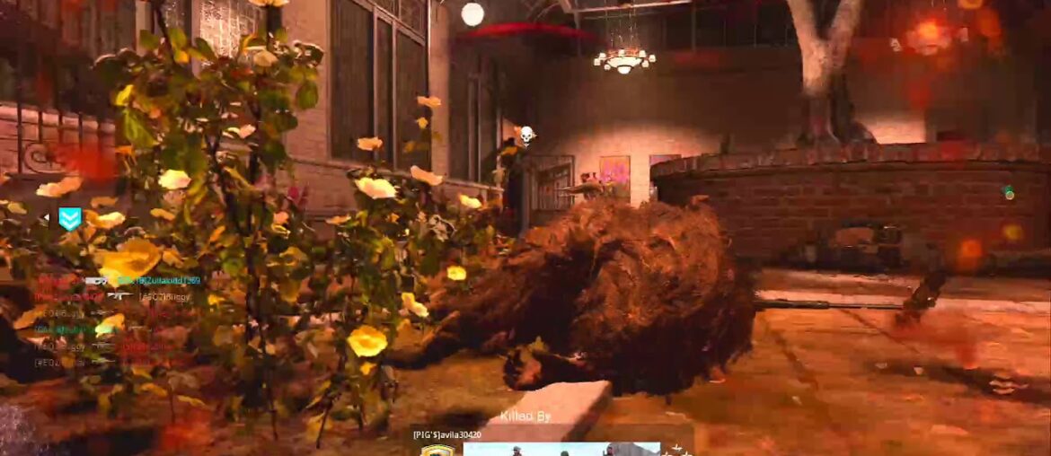 wish the collat had registered