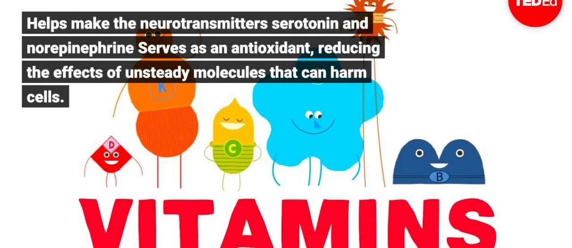 All About Vitamins & Supplements Store - Buy Organic Health Food